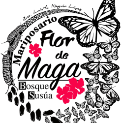 BIENVENIDOS | Mariposario: Flor de Maga