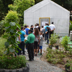 Inauguran Mariposario en el Bosque Susúa en Sabana Grande